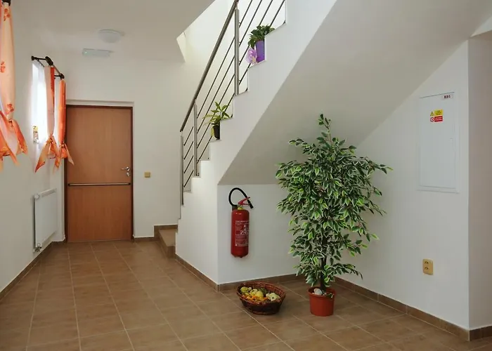 Rakovec Bukovinka